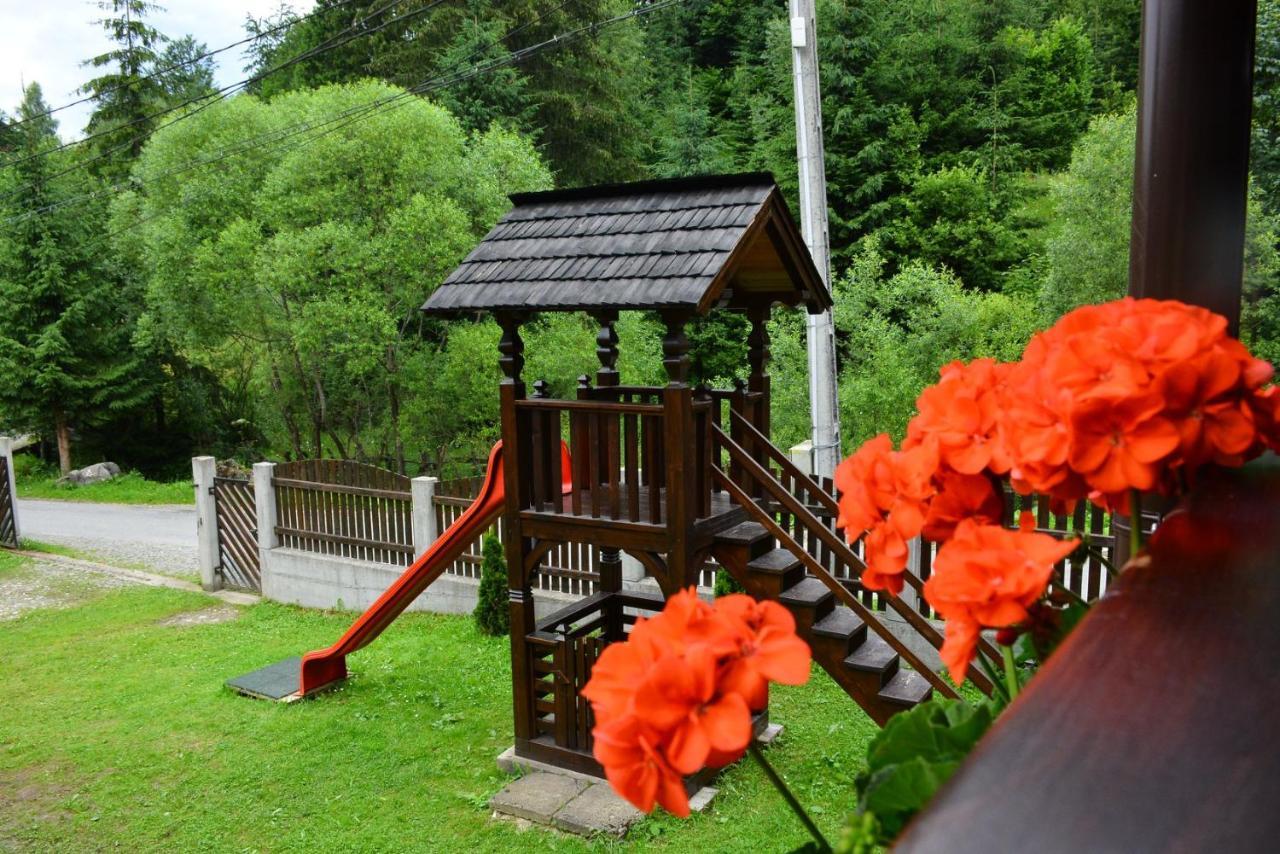 Cabana Cascada Cailor Hotel Borsa  Luaran gambar