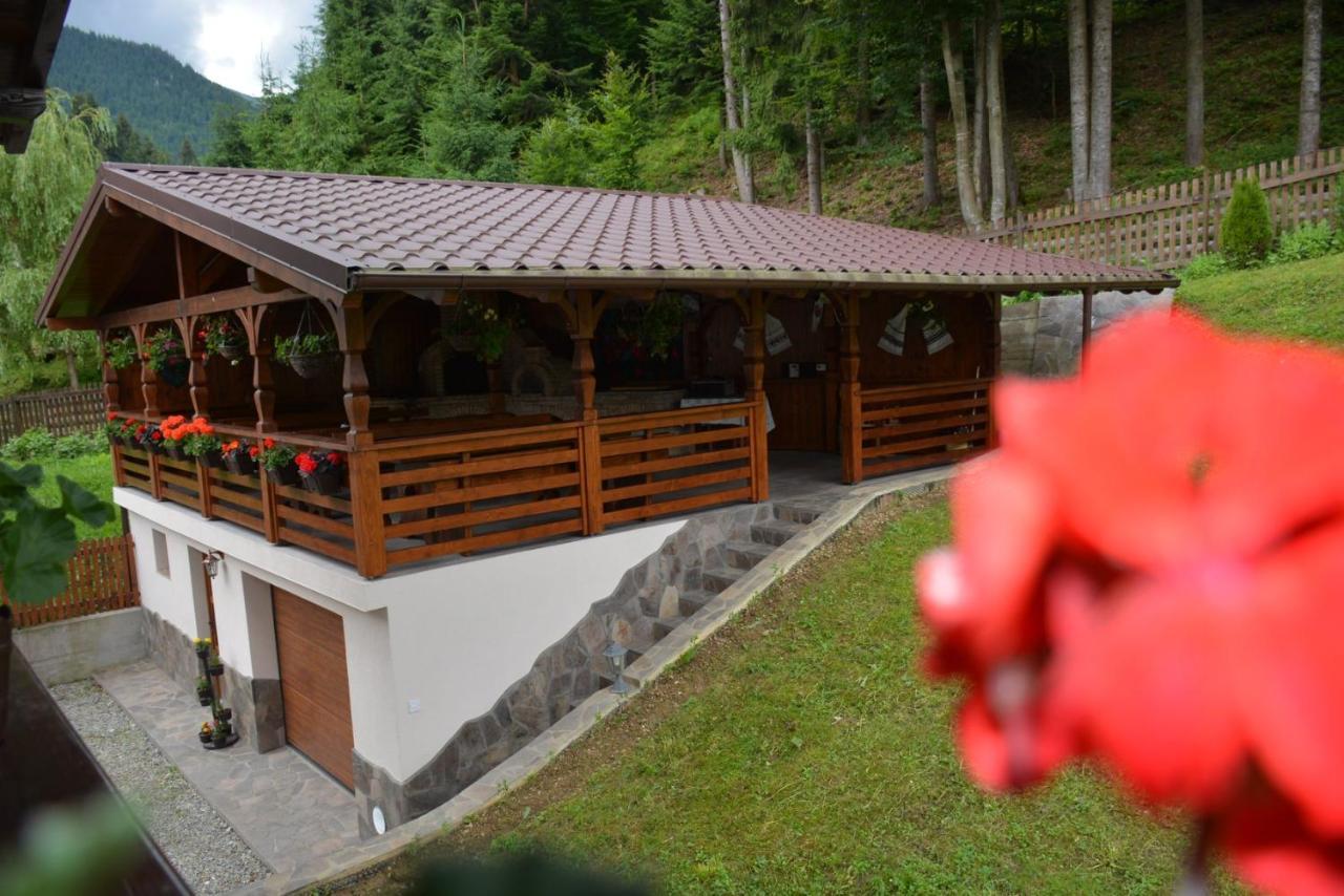 Cabana Cascada Cailor Hotel Borsa  Luaran gambar