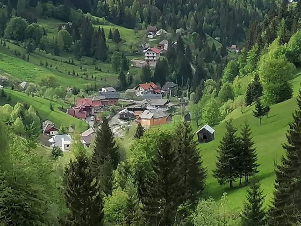 Cabana Cascada Cailor Hotel Borsa  Luaran gambar