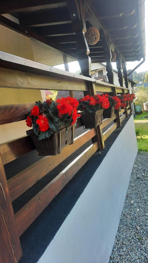 Cabana Cascada Cailor Hotel Borsa  Luaran gambar